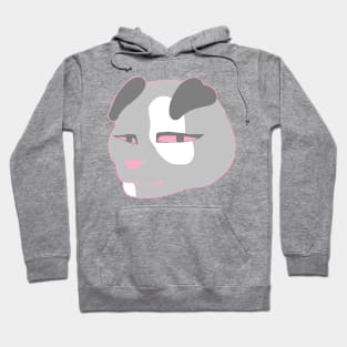 Demi girl pride cat Hoodie